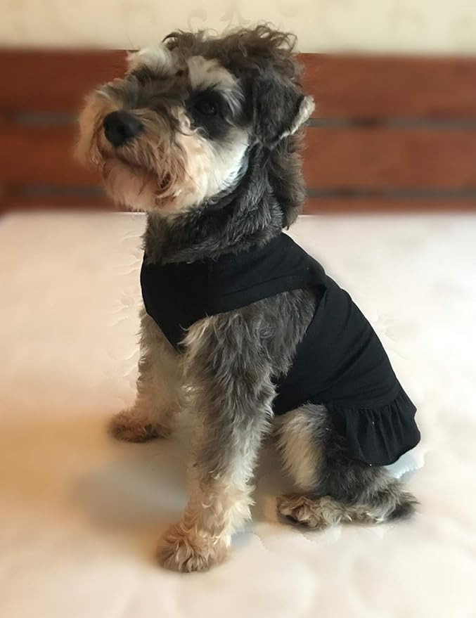 Pet Clothes Small Dog Clothing Blank Color Sport Dress T-Shirts Tee Dresses Tanks Top for Small Size Female Dogs Summer Spring Pet Costumes 100% Cotton (M, Black)