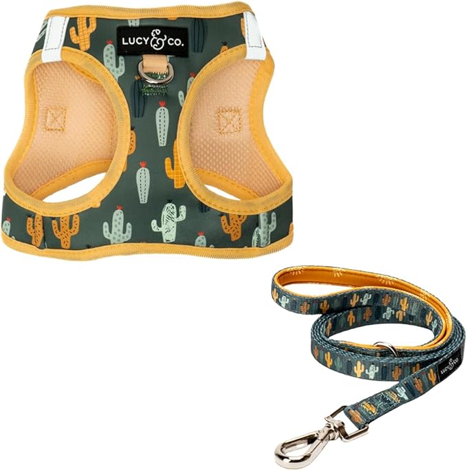 Lucy & Co. Looking Sharp Step-in Cat Harness & Leash Bundle – Reflective, Breathable & Adjustable Harness for Cats, Kittens & Small Dogs, Lightweight & Secure and Dual Leash Clips – X-Small