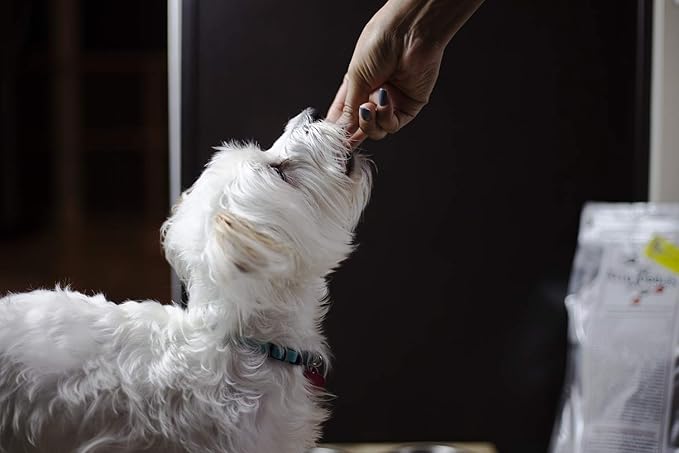 Keto-Treats Quail - for Dogs & Cats - 4.9 oz. Bag