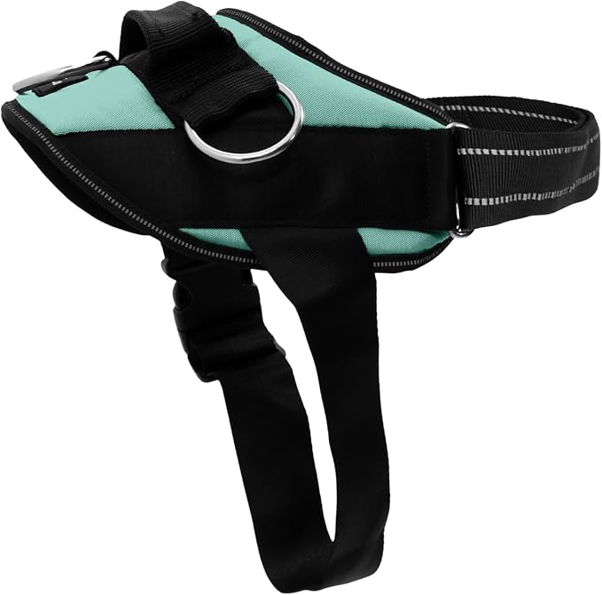 ShawnCo Essential Dog Harness, No-Pull Pet Vest with 3 Leash Clips, No Choke, Reflective, Adjustable and Padded, for Easy Walking and Training for Small, Medium and Large Dogs (Seafoam, L)