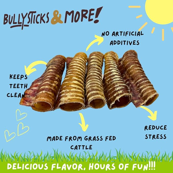 BULLYSTICKS & MORE 6 Inch Beef Trachea (6 Pack) | 100% Grass Fed | Long Lasting Dog Chews | Parents Choice Treats