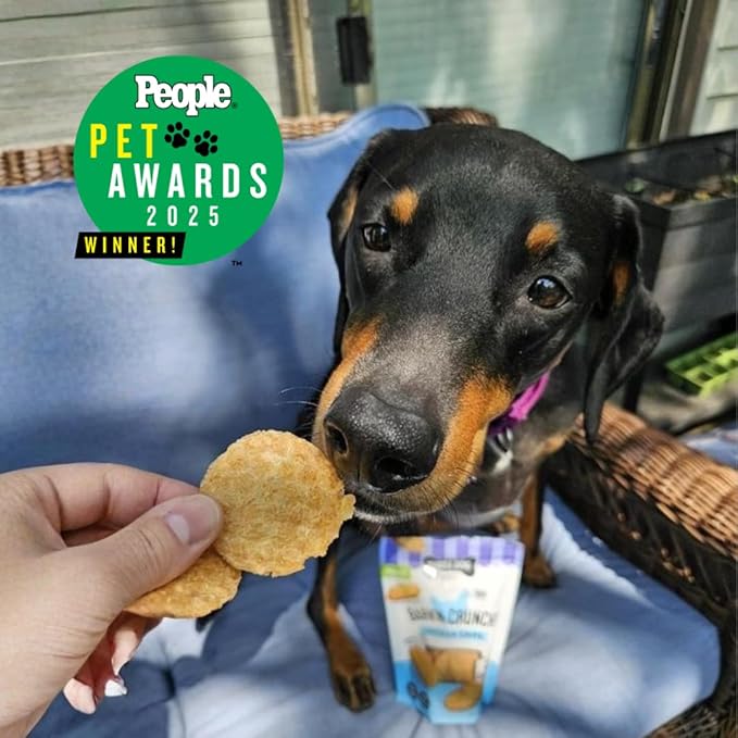 Three Dog Bakery Bark'N Crunch! Chicken & Cheese Chips with 100% Real Chicken - 3.8 oz - Crunchy Treats for Dogs - High Protein Dog Snacks - Grain Free, No Corn or Soy, Limited Ingredient Treats