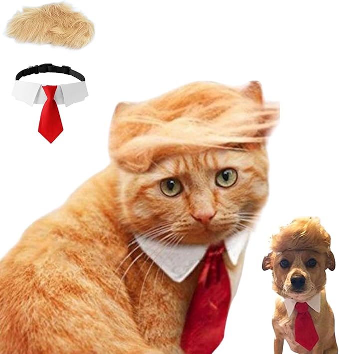 Pet Cat/Dog Blonde Wig with Tie - Iconic and Playful Toupee Hat, Cosplay Dress Up Clothing Costume Halloween Accessories (RedTie, M)