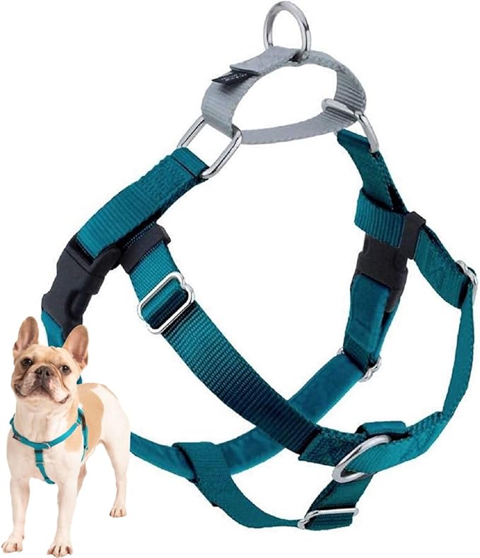 2 Hounds Design Freedom No Pull Dog Harness, Adjustable Harness, Easy Walking & Comfortable Control, Fits Small, Medium & Large Dogs, Solid Colors, Made in USA, 1" XL, Teal