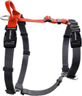 Non-Restrictive Dog Harness, Easy Walk Freedom No Pull Harness, Keep Balance, Neck-Buckle, Six Points Adjustment, 2 Leash Clips for Back and Front Clip (Orange/Black, X-Large)