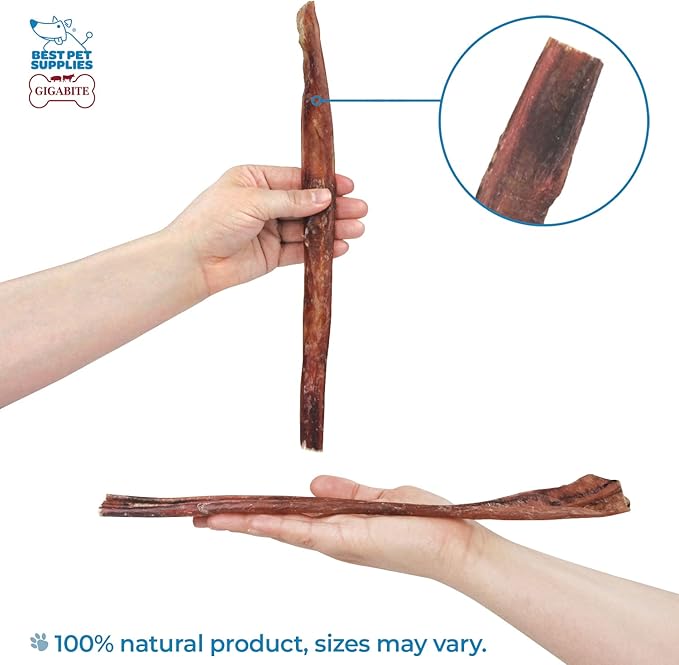 GigaBite Bully Sticks for Dogs All Natural Beef Pizzle Dog Chews, Odor & Rawhide Free Dog Treats, Long Lasting High Protein Chews Digestible Dental Dog Treat - Sticks (Half-cut 12"), Pack of 10