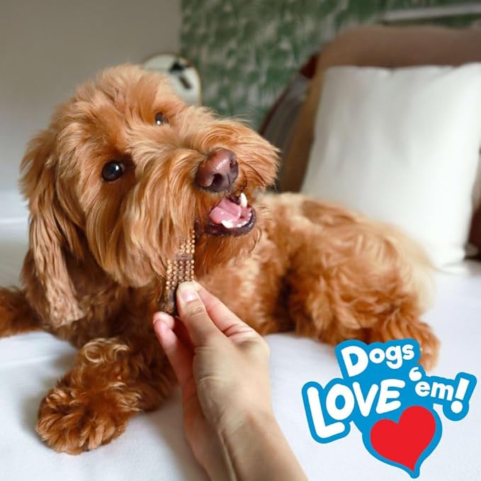 Nylabone Nubz Edbls Dc Chkn 4 Sml