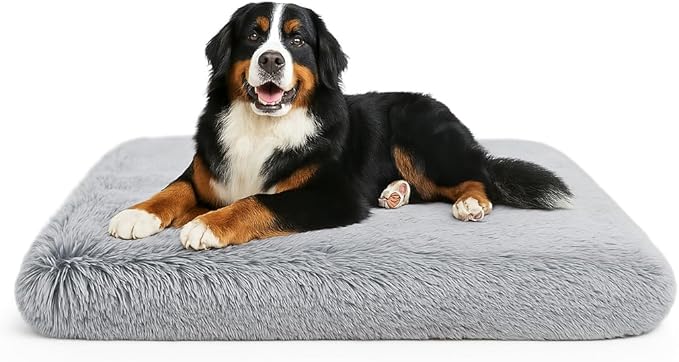 Dog Bed, pet beds (Large) - Premium Quality, Dog Bed, Washable & Portable, Multiple Sizes, Stylish Design, Removable Cover, Size Large(29.53 X 19.69 X 3.14) inch