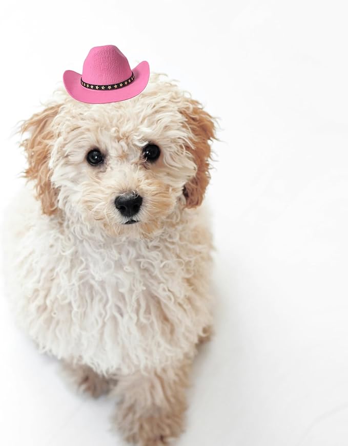 Dog Cowboy Hat Cat Cowboy Hat Mini Cowboy Hat for Dogs Cat Pet Cowboy Costume with Bandana Scarf Holiday Halloween Pet Party Decoration (Pink, Small)