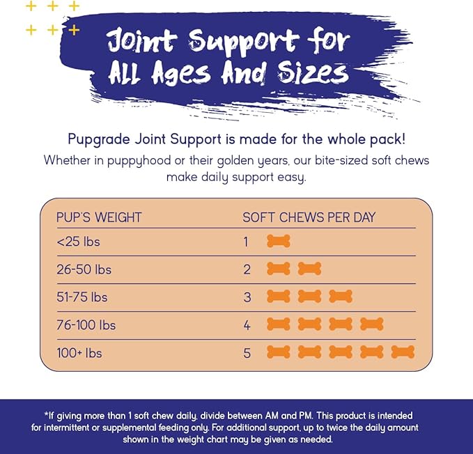 PupGrade Joint Support Supplement for Dogs - Glucosamine + Chondroitin with MSM and Perna - Supports Normal Hip & Joint Health for Occasional Discomfort, Beef Flavor - 60 Soft Chews