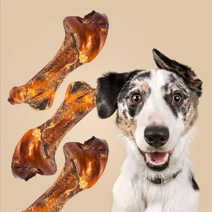 ROAM Pet Treats Ostrich Bones for Dogs Pack of 2 for Medium and Large Breeds – Boss-trich Long Lasting Ostrich Dog Bones, Dog Treats