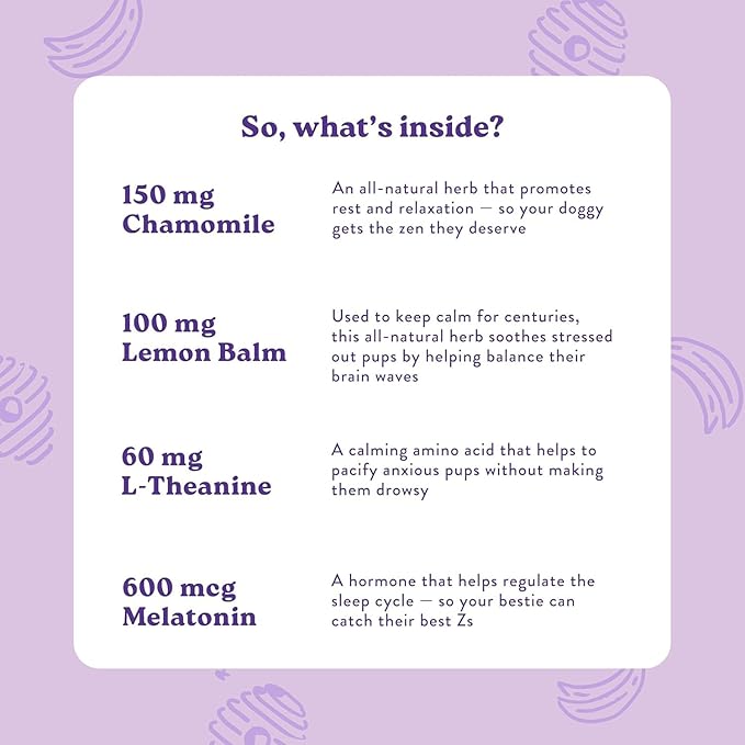 Bocce's Bakery Bedtime Tea Treats + Calming Supplement Bundle for Dogs – All-Natural, Wheat-Free Biscuits & Stress Support with Chamomile, Lemon Balm, L-Theanine – Real Ingredients Baked in The USA