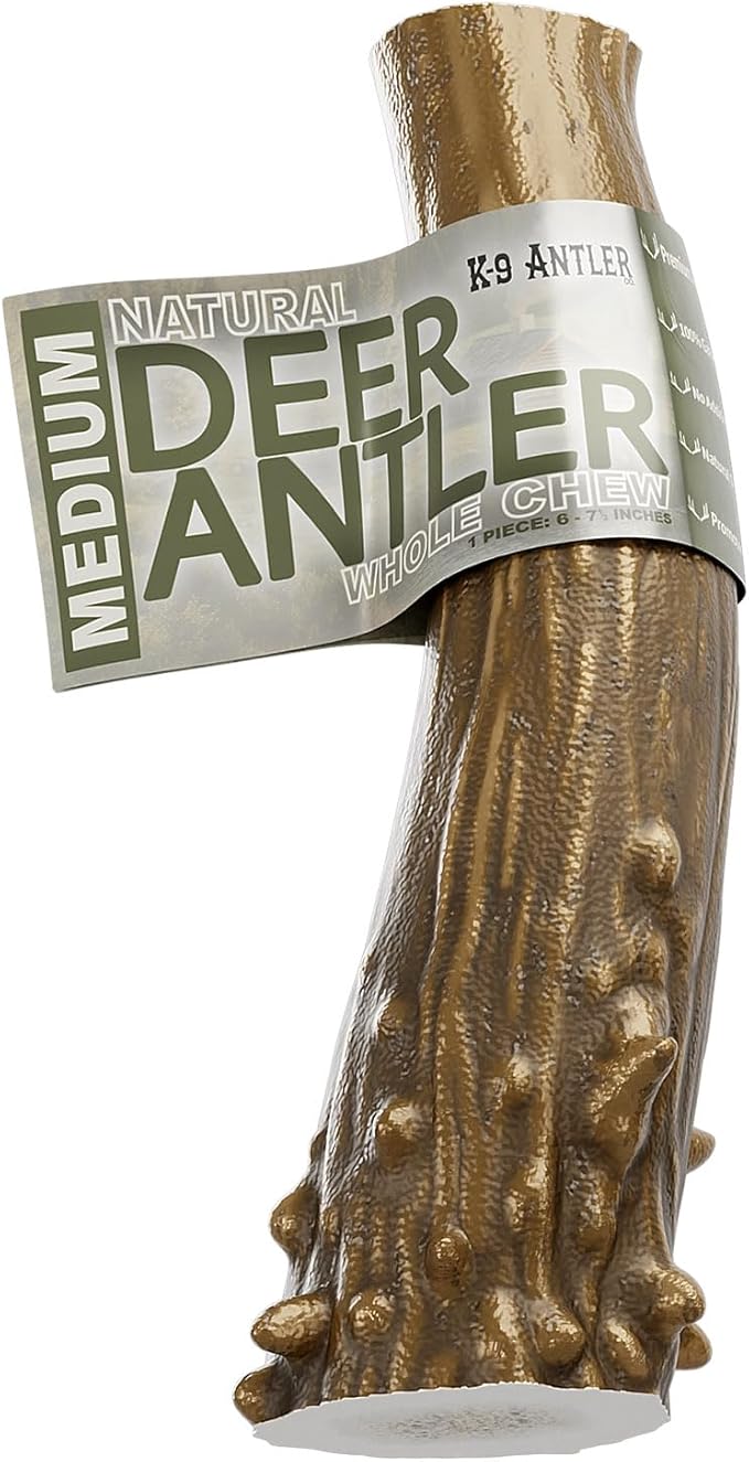 Deer Antlers for Dogs – Medium Whole (6-7.5 Inch), Durable Chew for Aggressive Chewers, Naturally Shed in The Wild, Responsibly Gathered in The USA