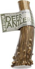 Deer Antlers for Dogs – Medium Whole (6-7.5 Inch), Durable Chew for Aggressive Chewers, Naturally Shed in The Wild, Responsibly Gathered in The USA