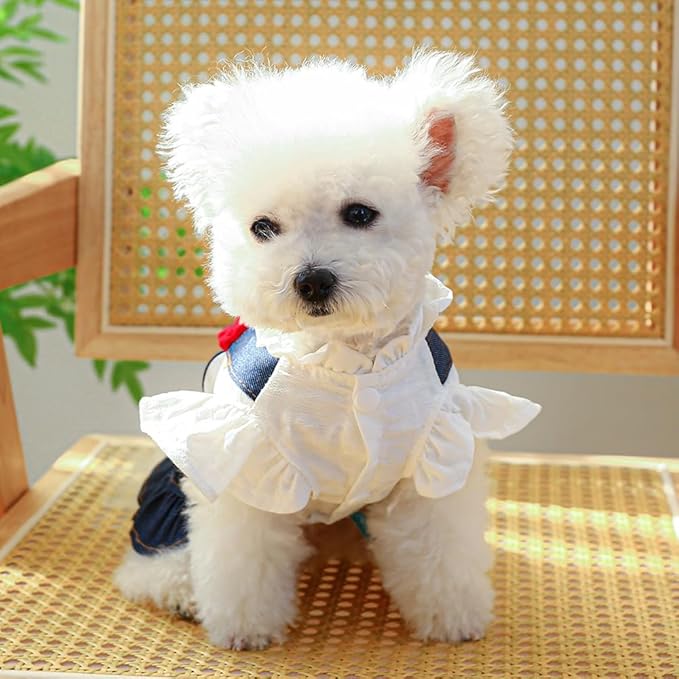 ANIAC Denim Small Puppy Dress 3D Flowers Girl Dog Clothes with D-Ring and Pocket Female Cat Harness Dresses Cute Shih Tzu Yorkies Chihuahua Outfits Summer Pet Clothing (Medium)