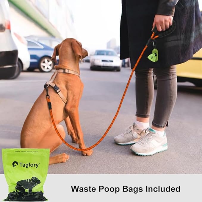 Taglory Rope Dog Leash 6 FT with Comfortable Padded Handle, Highly Reflective Threads Leash and Anti-Tangle Clip for Walking Small Dogs, 3/8 inch, Orange