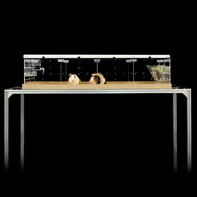 GuineaLoft™ Acrylic Cage (Model-A2) - Large 4x2ft Expandable C&C Cage for Guinea Pigs, Rabbits, Button Quails, Hedgehogs, Small Animals that Need Roaming Space - Visit Our Store to See More