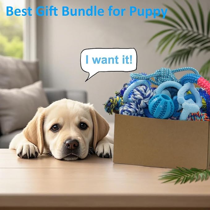 Beiker 20 Pack Puppy Chew Toys - Blue Dog Teething Toys for Puppies, Puppy Teething Rings and Ropes, Blue Rubber Toy Bundle for Small Dogs, Cute Interactive Dog Balls for Small Breed