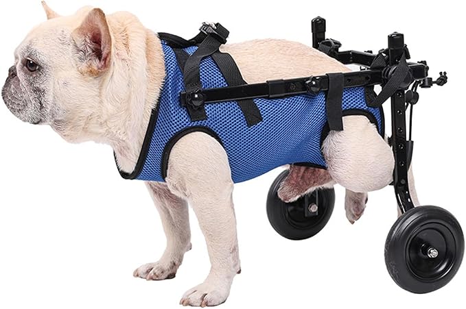 Small Dog Wheelchair for Back Legs - Adjustable Mobility Aid for Disabled Pets, Leg Brace and Hip Support