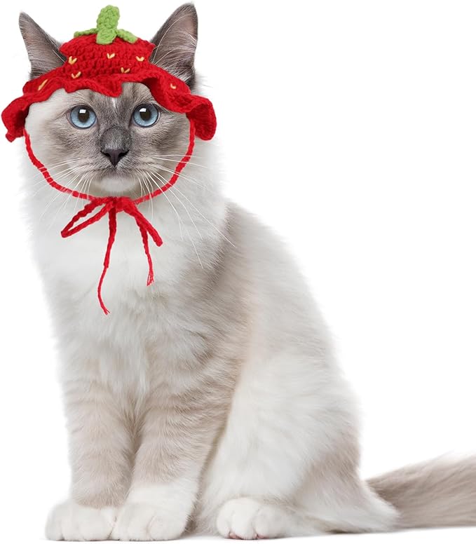 Strawberry Cat Hat, Handmade Knit Cute Soft Dog Cat Hat Halloween Christmas Party Costume Head Wear Accessories for Cats Birthday Puppy Hats for Kitten Small Pets (Red, M)