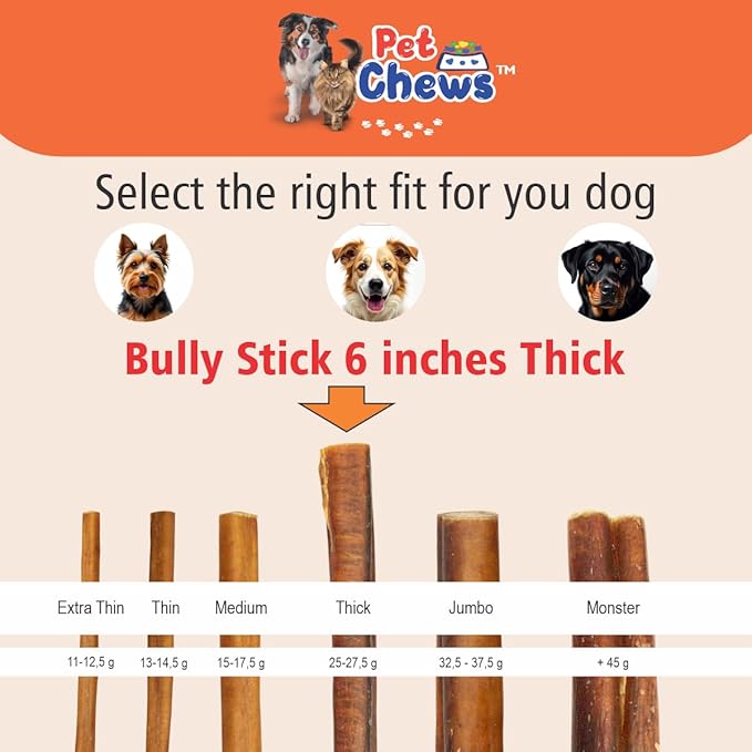 PET CHEWS™ 7.5lb Bulk Box (125 Count) Thick Bully Sticks 6 Inch - 100% Natural Beef Pizzle Dog Treats - Long Lasting, Odor-Free & Fully Digestible - High-Protein Chews for All Breeds.