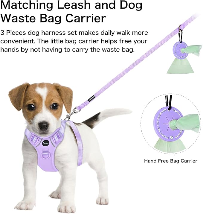 Petmolico Dog Harness for Small Dogs, Cute Harness Vest with Two Leash Clips and Soft Handle, Reflective Easy Walk Puppy Vest - Light Purple, Medium
