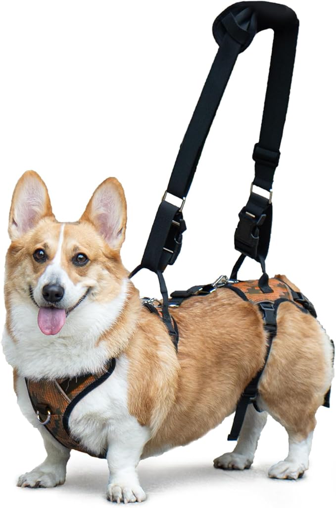 Dog Lift Harness, Dog Lift Sling Carrier with Handle & Shoulder Sling, Support Harness for Rear Back Legs Helps,Disabled,Arthritis,Joint Injuries,Paralysis Up Stairs（Orange,Large）