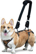 Dog Lift Harness, Dog Lift Sling Carrier with Handle & Shoulder Sling, Support Harness for Rear Back Legs Helps,Disabled,Arthritis,Joint Injuries,Paralysis Up Stairs（Orange,Large）