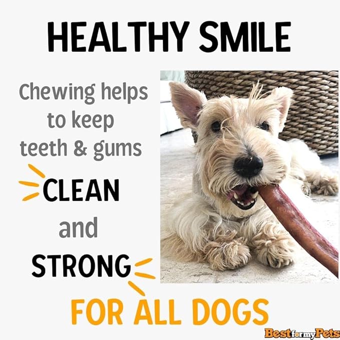 Best For My Pets 6‑Inch Odor‑Free Beef Bully Sticks, 8 oz Bag - Single‑Ingredient, Long‑Lasting Natural Dental Dog Chews, USA‑Inspected Rawhide Alternative