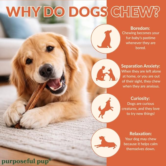 Bully Sticks (12 Inch-20 Pack) | European Quality | Single Ingredient Beef Pizzle Dog Chews | Long Lasting Rawhide Alternative | Medium to Large Dogs