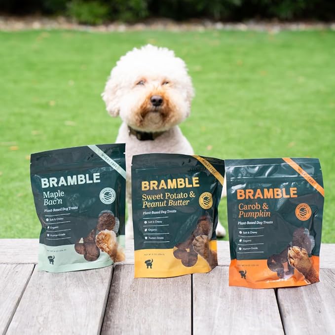 BRAMBLE Organic Dog Treats. Everyday Carob & Pumpkin Human Grade, Made with Real Ingredients, Soft & Chewy Dog Cookies. Wheat-Free Plant-Based. 8 oz