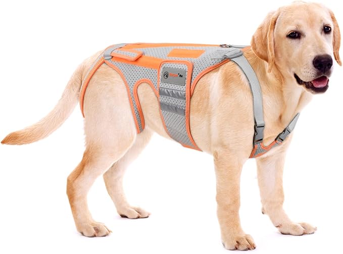 Dog Back Brace for Arthritis, Dog Hip Brace for IVDD, Frame Support Harness for Back，Keeps The Back Stable and Reduces Movements and Pains（L）