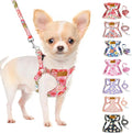 SlowTon Dog Harness Small Sized Dog - Soft XXS Dog Harness and Leash Set No Pull No Chock, Adjustable Lightweight Puppy Harness for XS Small Medium Dogs Cats (Pink Rose, M)