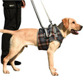 Dog Front/Hind Legs Lift Sling, Mobility Aid Assistance Hip/Joint Support Recovery for Senior Disabled Injured Dog Harness (Blue frontleg,Small)