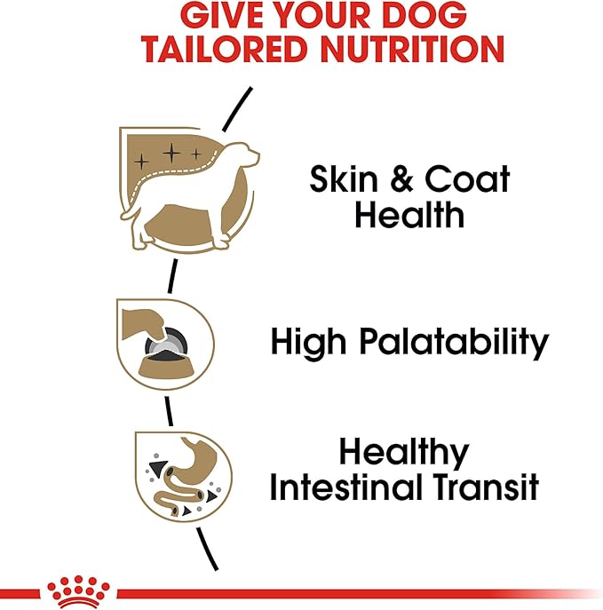 Royal Canin Breed Health Nutrition Chihuahua Adult Loaf in Sauce Dog Food, 3 oz (Pack of 24)