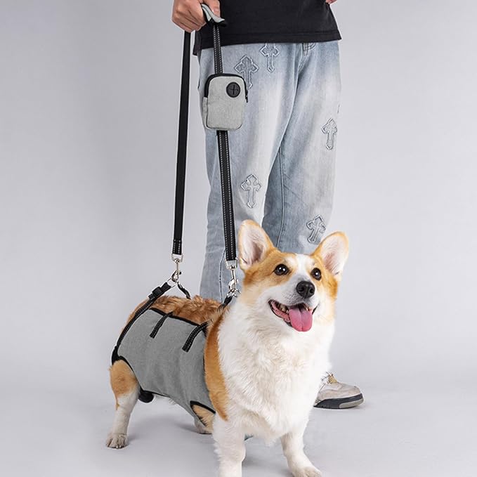 Senior Dog Lift Harness with Reinforced Padding for Post Surgical Let Adjustable for Outdoor Activity Dog Mobility Aid