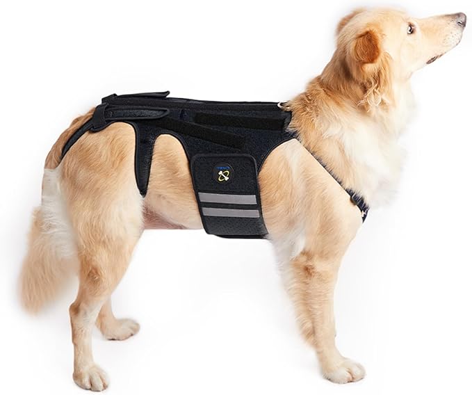 Coodeo Dog Back Brace for Dogs Arthritis, Pet Back Bracer for IVDD, Back Protector Helps Pain Relief, Surgical Recovery and Rehabilitation, Dogs Back Disease Prevention. (Black,Large)