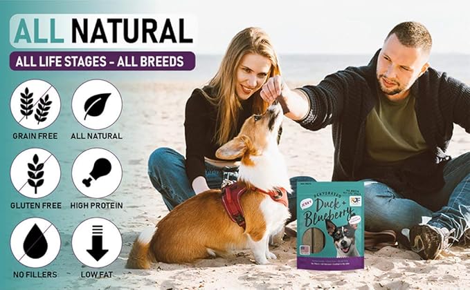 PET JERKY FACTORY Premium Duck and Blueberry 12 oz. Dog Jerky Treats|100% Human Grade | USA Made-| High Protein-| Grain Free-| Limited Ingredients-| No Filler-| BHA-BHT Free-| Soft-Tender,(Pack of 2)