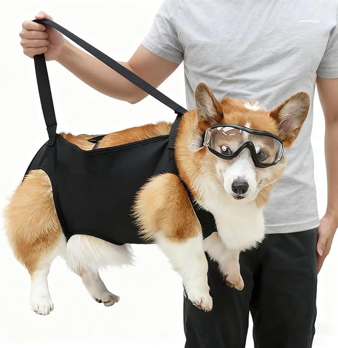 Dog Lift Harness for Rear Legs, Adjustable Support Sling with Handle for Mobility Aid, Helping Senior Dogs, Disabled Pets, Arthritis Relief and Post Surgery Recovery(L(36-55) pounds)