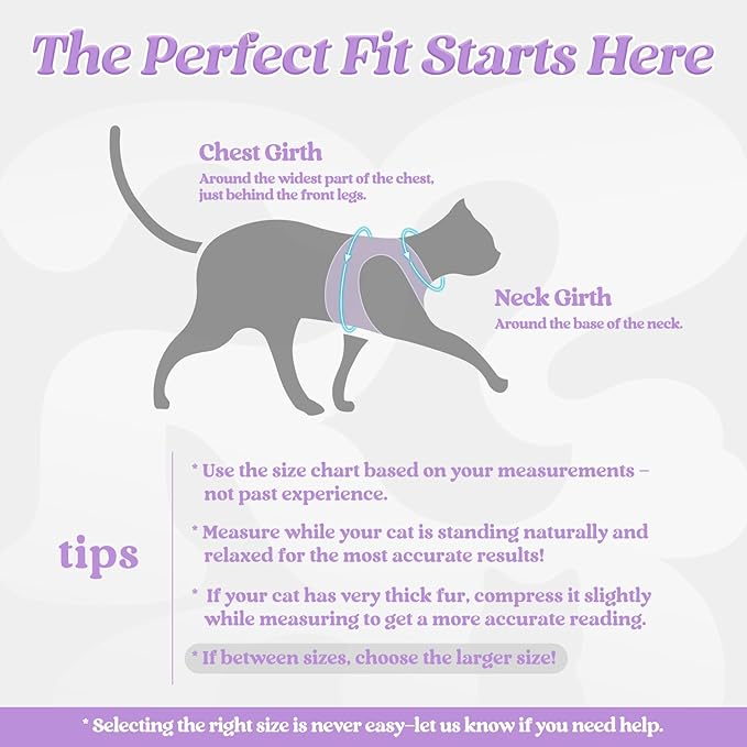 rabbitgoo Cat Harness and Leash Set for Walking Escape Proof, Adjustable Soft Kittens Vest with Reflective Strip for Cats, Comfortable Outdoor Vest, Black & Light Purple, M