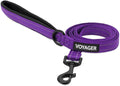 Best Pet Supplies Voyager Reflective Dog Leash or Collar with Neoprene Handle, for Small, Medium, and Large Breed Puppies, Cute and Heavy Duty for Walking, Running and Training - Purple (Leash), M