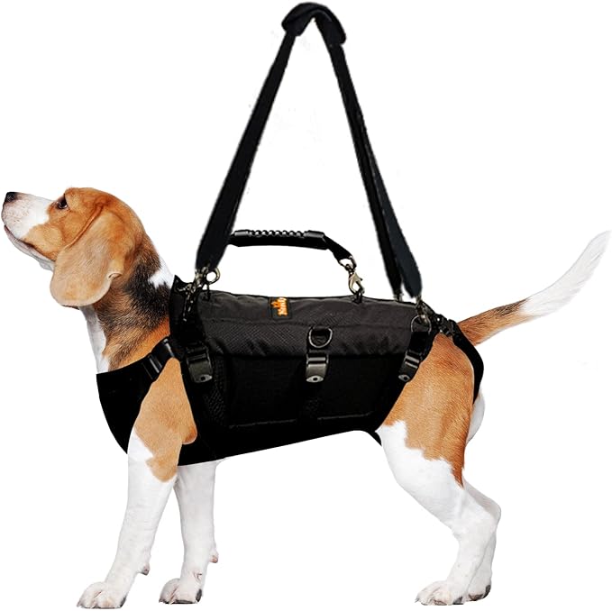 NeoAlly Sturdy Dog Lift Harness Full Body Support & Mobility Aids System - 5-in-1 Lifting Support, Carry Sling, Vest Harness, Back Brace, and Anxiety Vest - Endorsed by Shark Tank (Small)