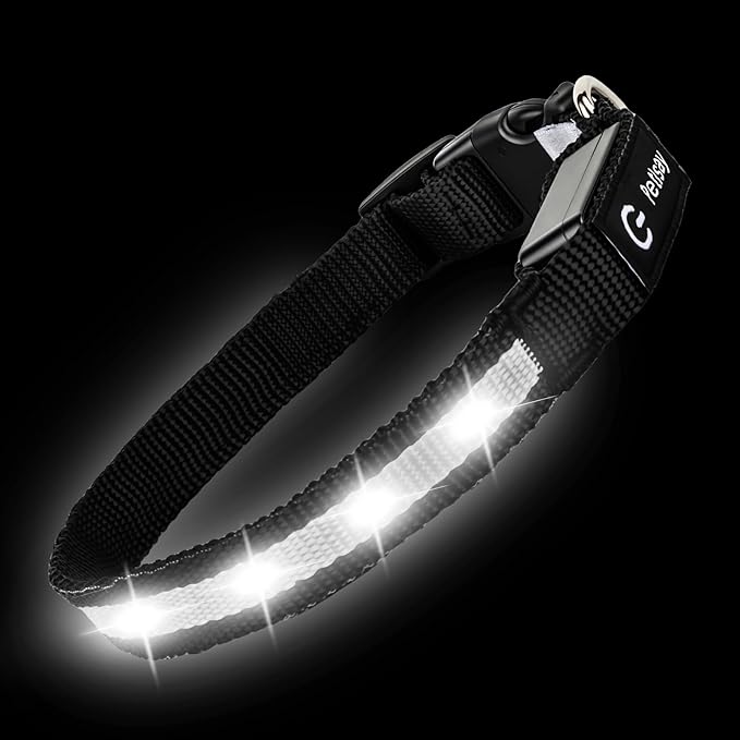 LED Dog Collar for XSmall Dogs & Toy Breeds – USB-C Rechargeable Light Up Dog Collar, Fully Waterproof Adjustable Glow Collar for Night Walking & Safety(White,XS)