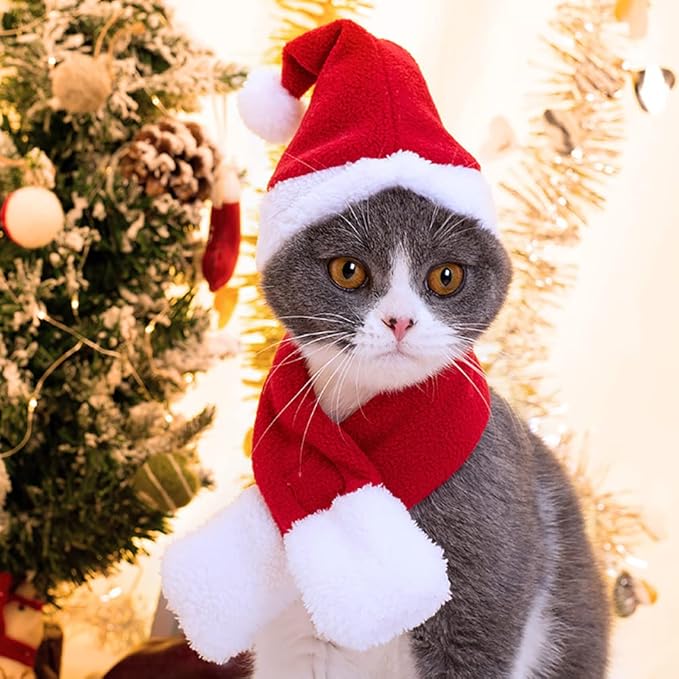 YUJUN 2PCS Cat Santa Hat with Scarf Outfit for Puppy Kitten Christmas Party Costume Supplies