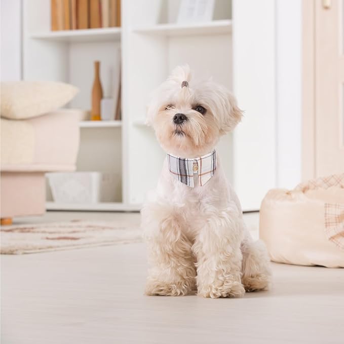 EXPAWLORER Puppy Collar and Leash Set - Classic Plaid Small Dog Collar with Bow Tie, Cute Dog Collar and Leash Set, Adjustable Dog Collar for Small Dogs Cats Holiday Birthday Gifts, Beige Small