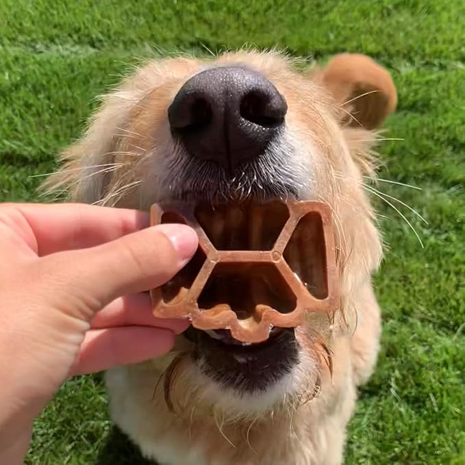 PROJECT HIVE ·PET COMPANY· Dental Chew Treats for Dogs, 9 oz, Large (M/L) – Peanut Flavor, Beehive-Shaped Dental Treats, Cleans Teeth & Freshens Breath, Vegetarian Recipe with Honey, No Grain or Soy