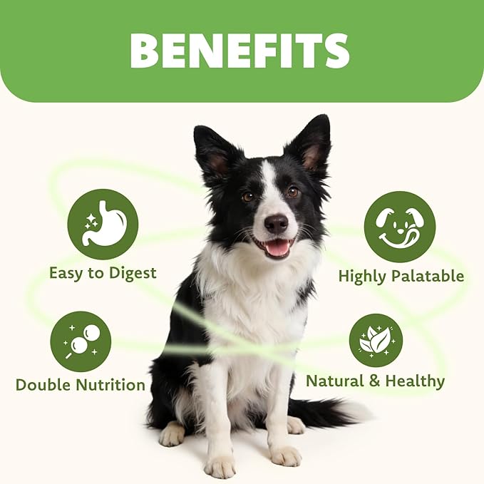 MON2SUN Dog Training Treats with Chicken, Oats & Peanut Butter – 2 Inch Crunchy Baked Bones for Small Dogs, 10.6 oz (35 Count)