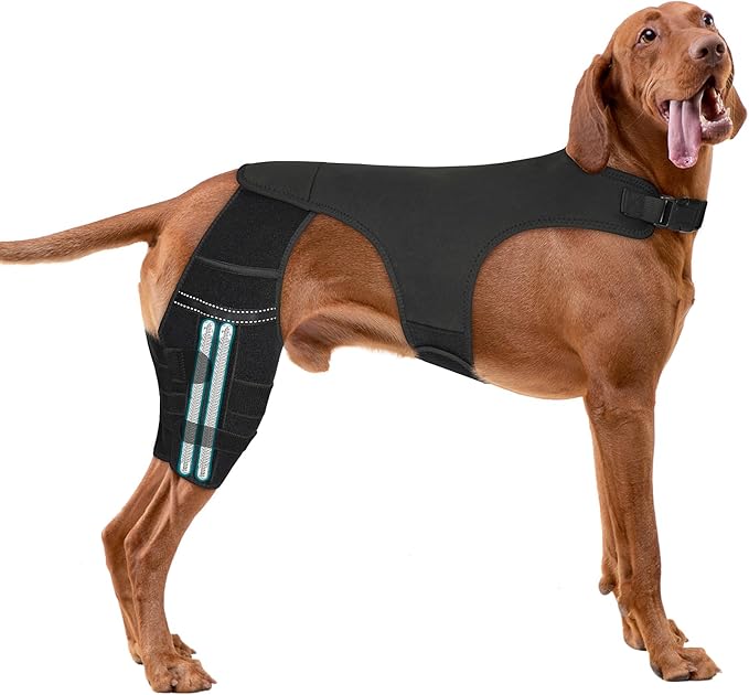Adjustable Dog Knee Brace for ACL Tear and Arthritis Recovery - Dual Hind Leg Support with Harness Connection - Orthopedic Leg Wrap for Joint Stability and Pain Relief in Small to Large Dog ( (XXL)
