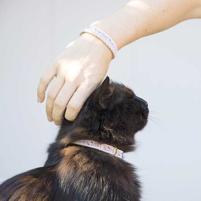 Pettsie Kitten Collar Breakaway with Matching Bracelet – Soft Cotton, Quick-Release Safety Buckle, Adjustable 5"-8", Stylish Gift Box, Purple