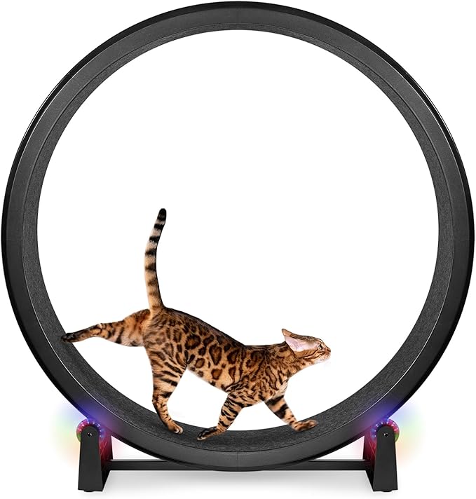 One Fast Cat - Cat Exercise Wheel - Gen. 7 - Safe 48" Diameter - Made in The USA - Black Wheel with Black Felt Traction Pads and Light-Up LED Inline Wheels